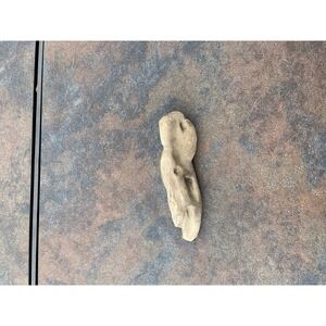 Natural Driftwood for Plants Terrarium Taxidermy Art Projects